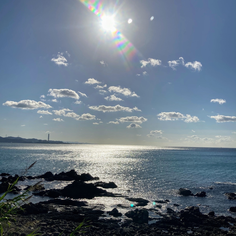 海沿いのゆるやかアップダウンの写真5