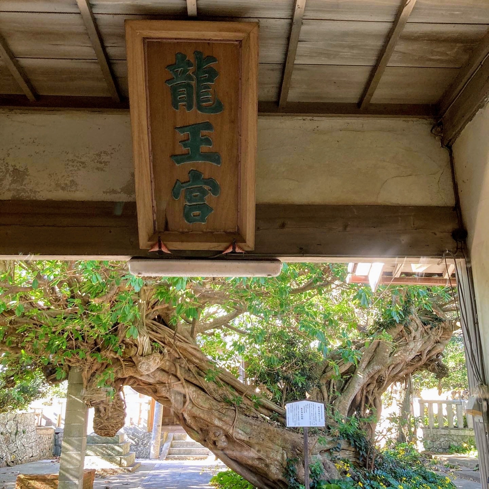 海沿いのゆるやかアップダウンの写真8