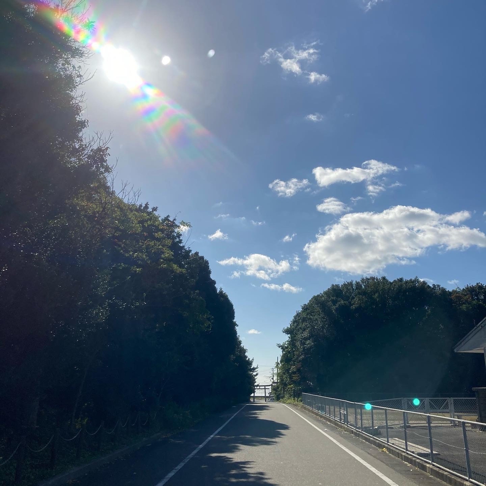 海沿いのゆるやかアップダウンの写真14