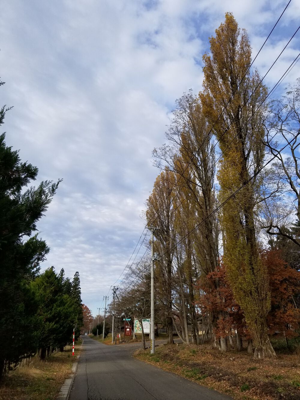 宝の山・会津磐梯山の眺望を楽しむの写真5