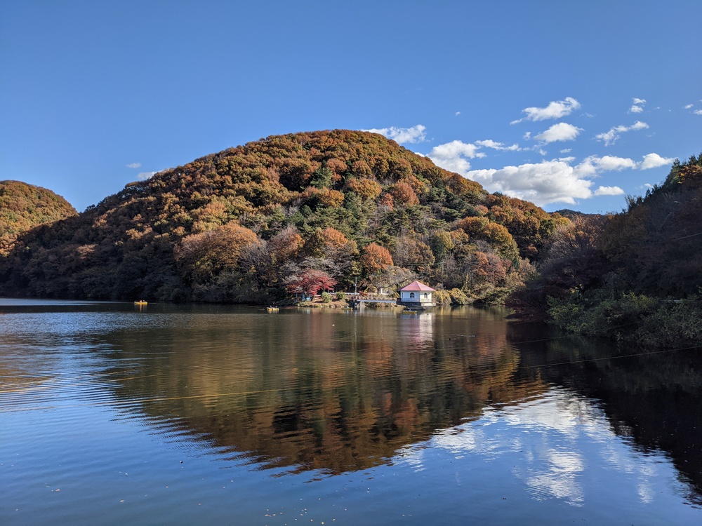 関東100名山・鐘撞堂山トレイルの写真4