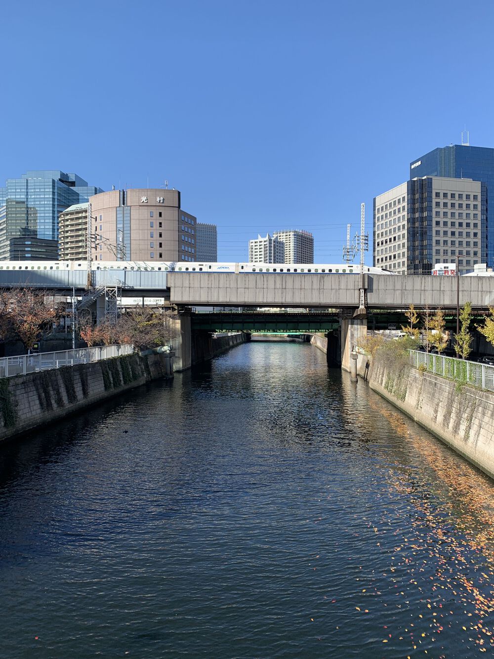 歌川広重と共にRUN 目黒川〜天王洲の写真6