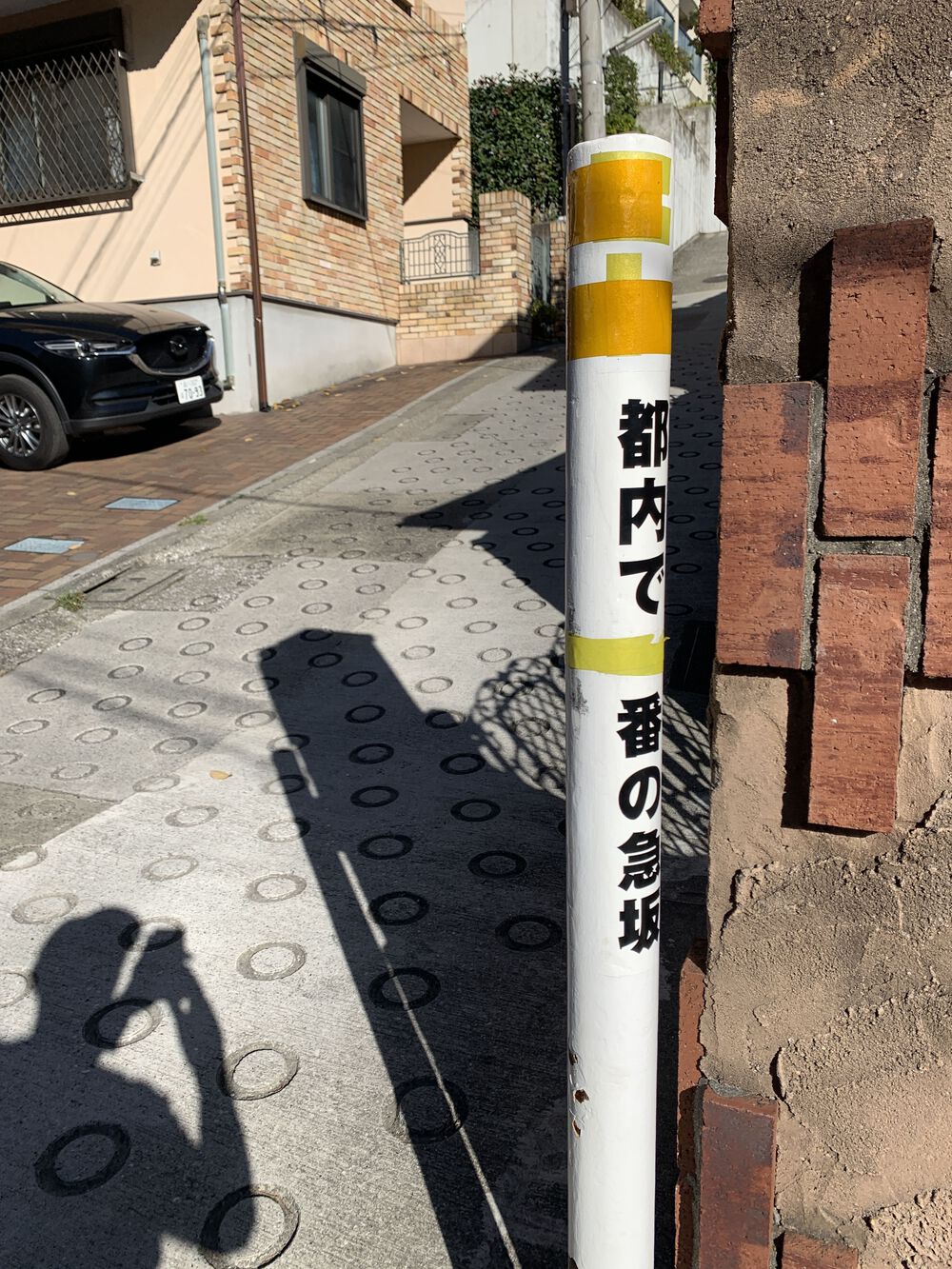 歌川広重と共にRUN 目黒川〜天王洲の写真7