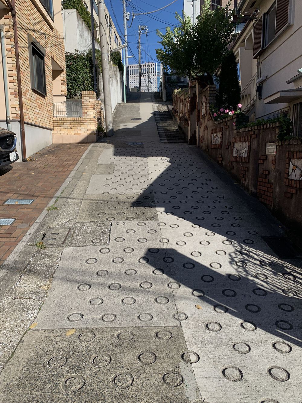 歌川広重と共にRUN 目黒川〜天王洲の写真8