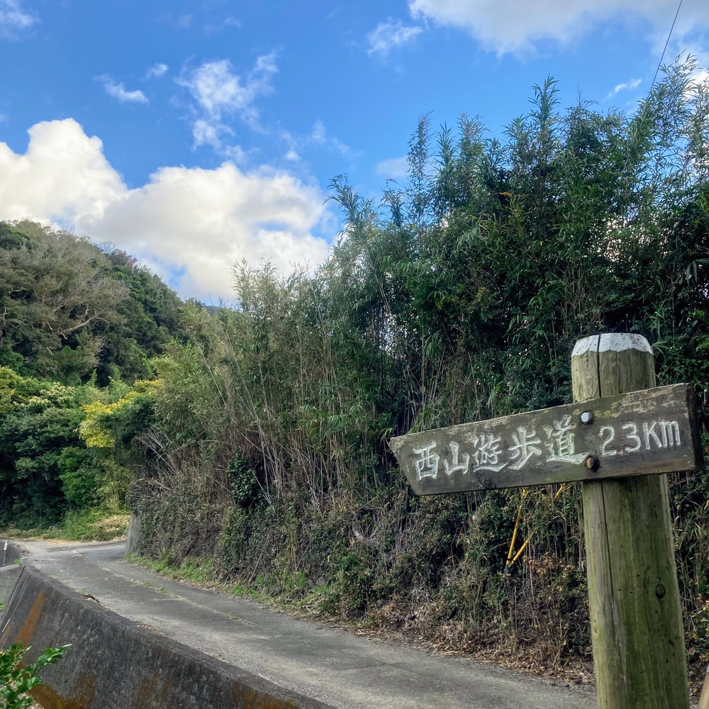 キツすぎるハイキングコースの写真3