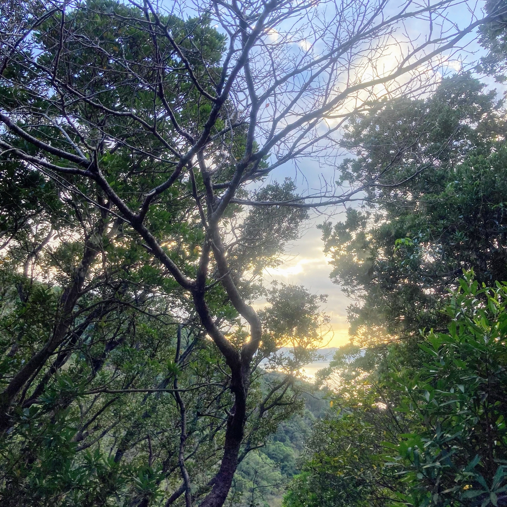 キツすぎるハイキングコースの写真7