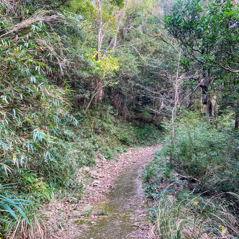 キツすぎるハイキングコースの写真8