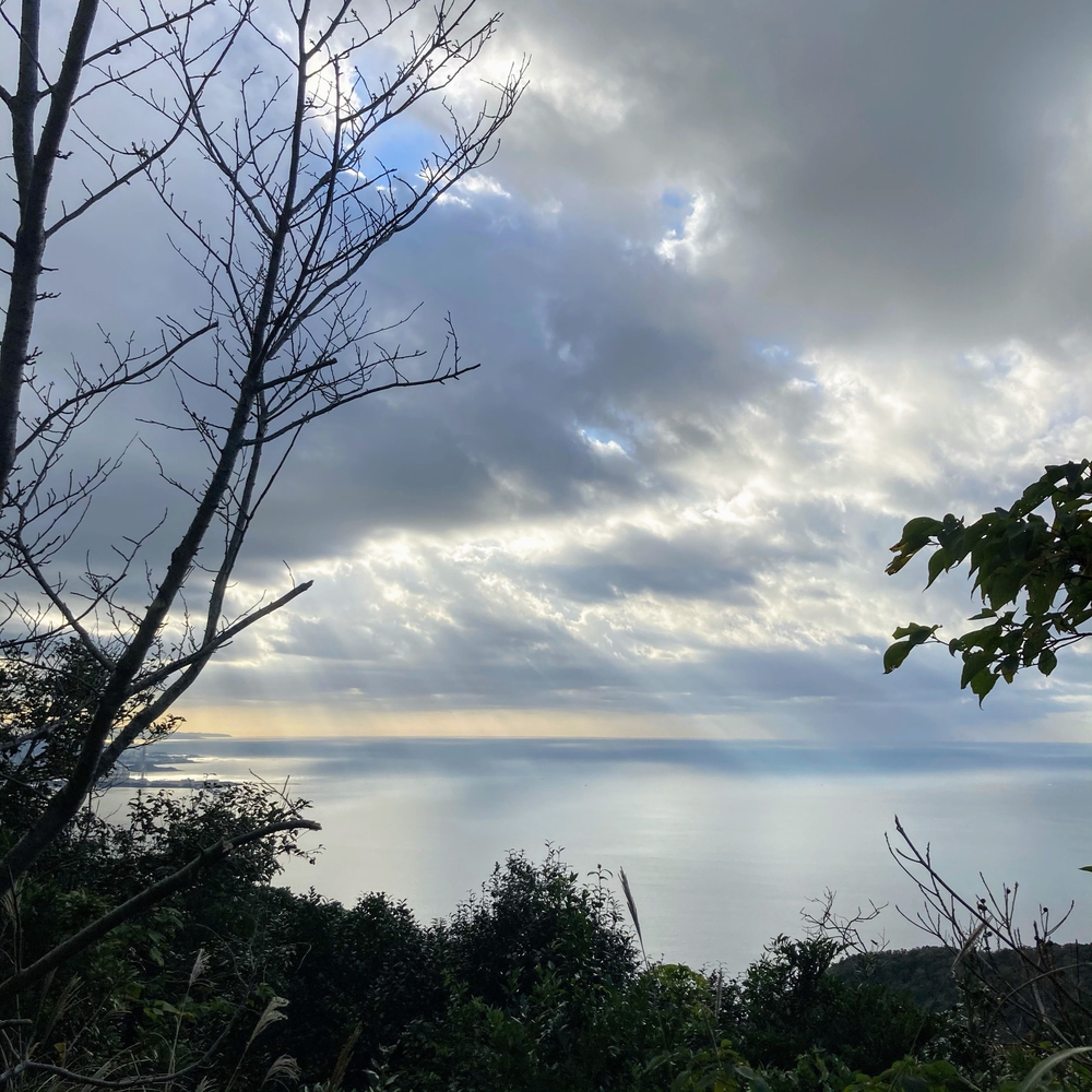 キツすぎるハイキングコースの写真10