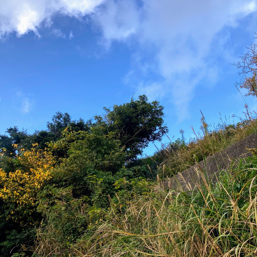 キツすぎるハイキングコースの写真11