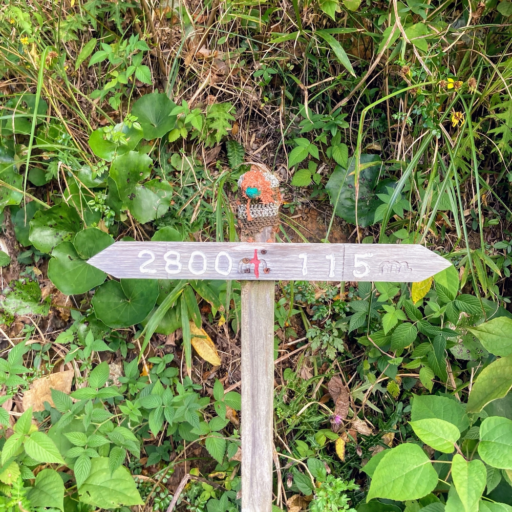 キツすぎるハイキングコースの写真12