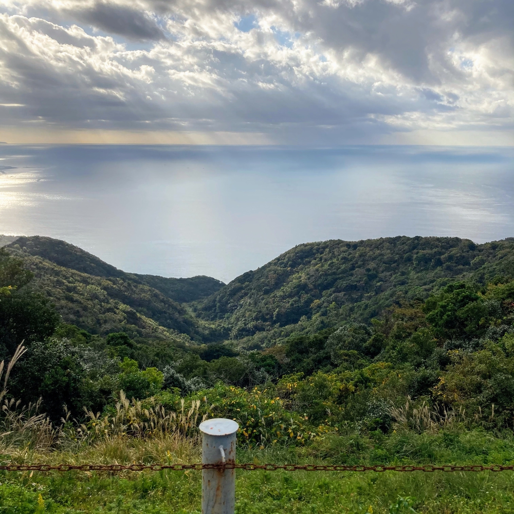 キツすぎるハイキングコースの写真14