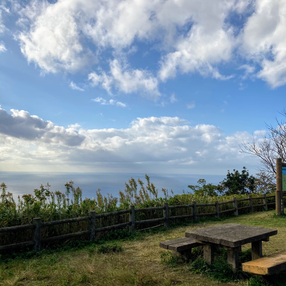 キツすぎるハイキングコースの写真16