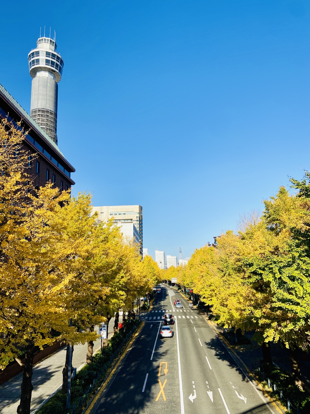 横浜観光10㎞の写真10