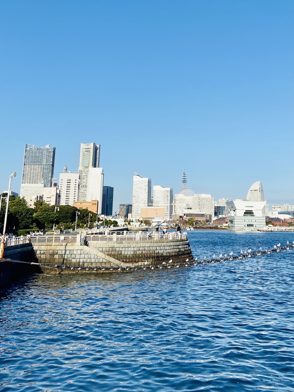 横浜観光10㎞の写真11