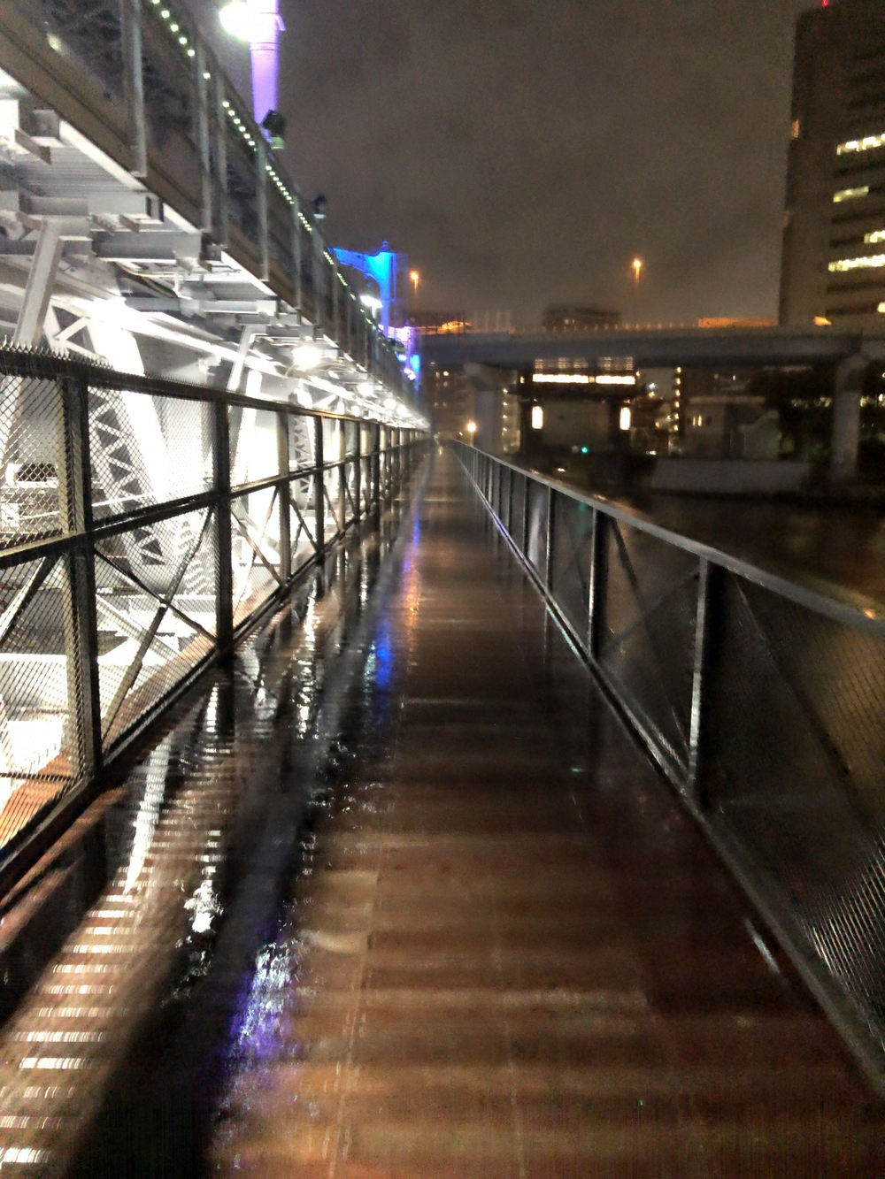 夜景を楽しむ隅田川テラスラン5kmの写真5