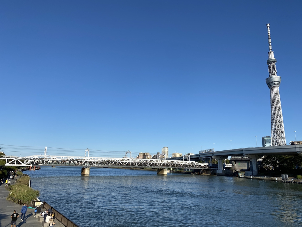 日光道中（街道）ラン　第一日目（日本橋〜千住〜草加〜越谷）の写真9