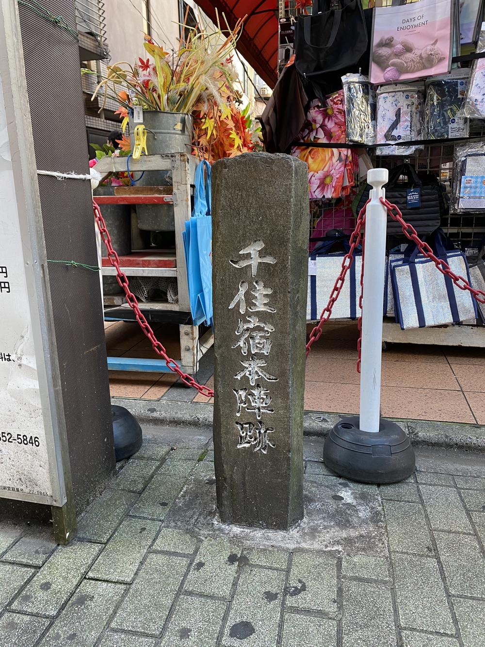 日光道中（街道）ラン　第一日目（日本橋〜千住〜草加〜越谷）の写真12