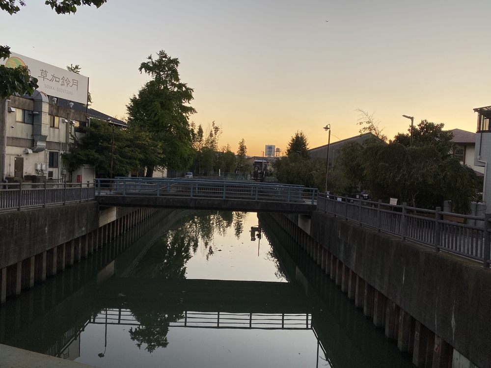 日光道中（街道）ラン　第一日目（日本橋〜千住〜草加〜越谷）の写真19