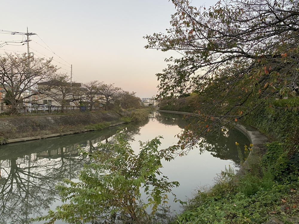 日光道中（街道）ラン　第一日目（日本橋〜千住〜草加〜越谷）の写真20