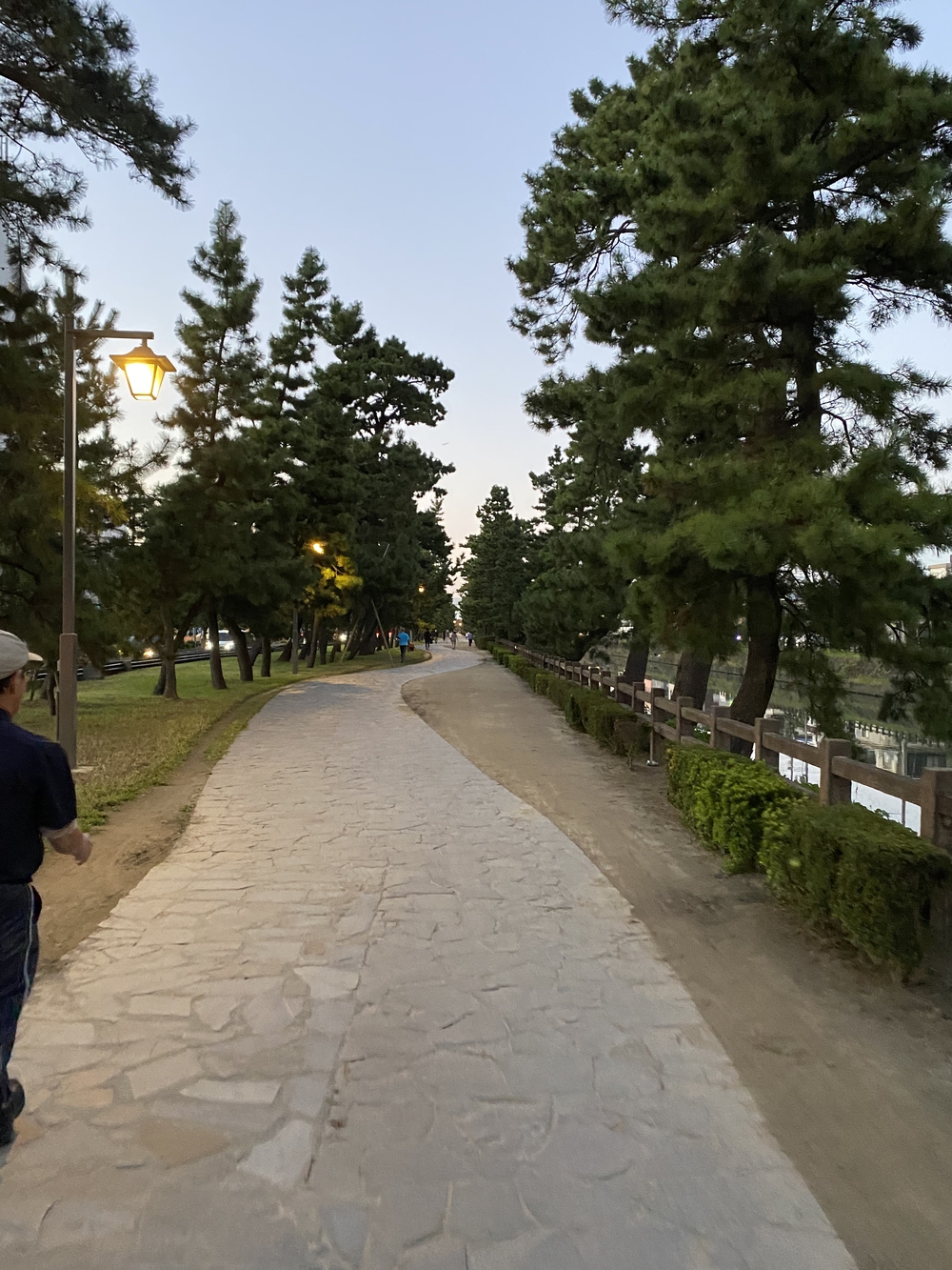 日光道中（街道）ラン　第一日目（日本橋〜千住〜草加〜越谷）の写真23