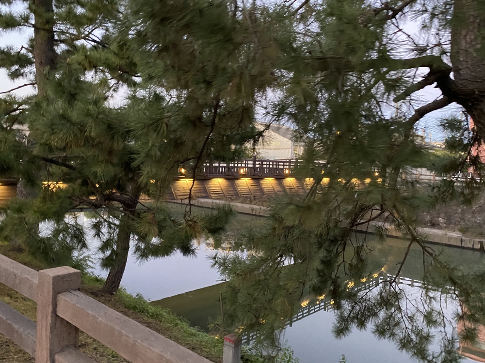 日光道中（街道）ラン　第一日目（日本橋〜千住〜草加〜越谷）の写真24