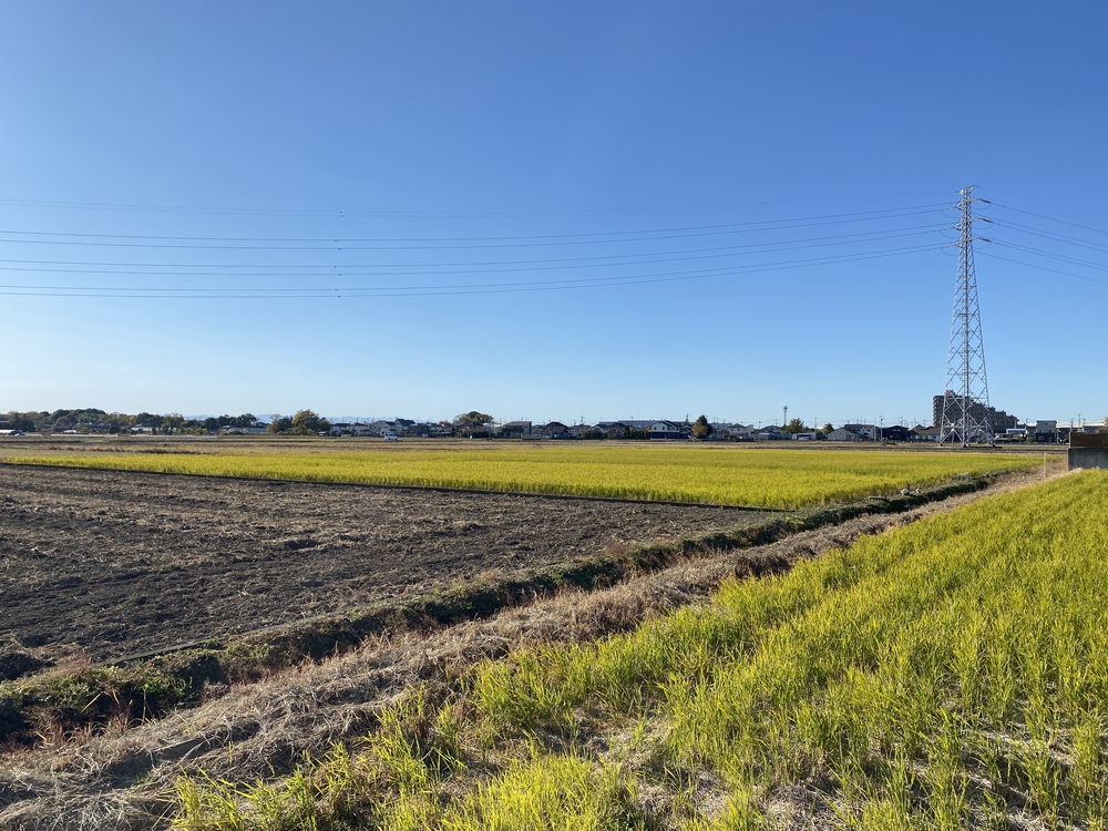 日光道中（街道）旅ラン　第二日目　（越谷〜粕壁〜杉戸〜幸手）の写真13