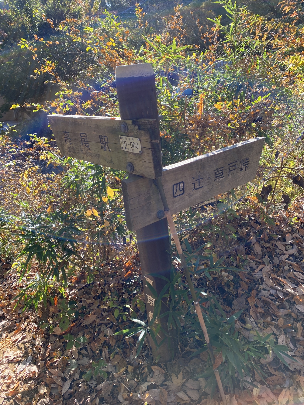 南高尾縦走トレランの写真3