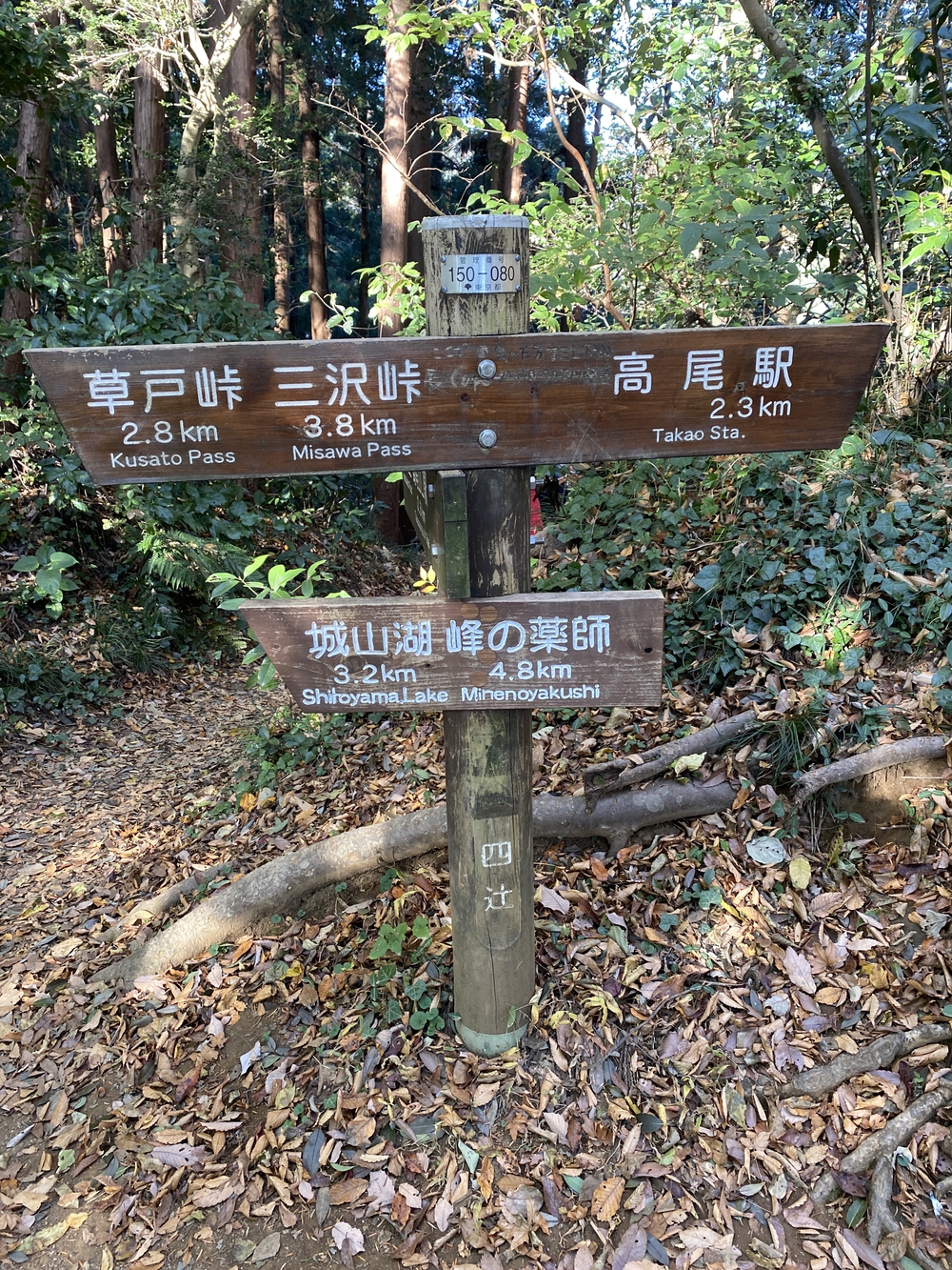 南高尾縦走トレランの写真5