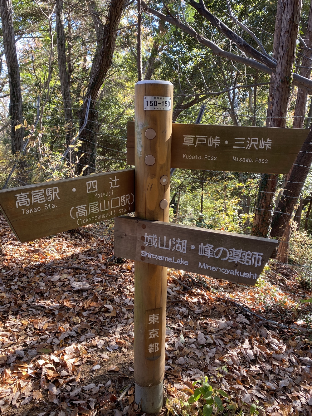 南高尾縦走トレランの写真6