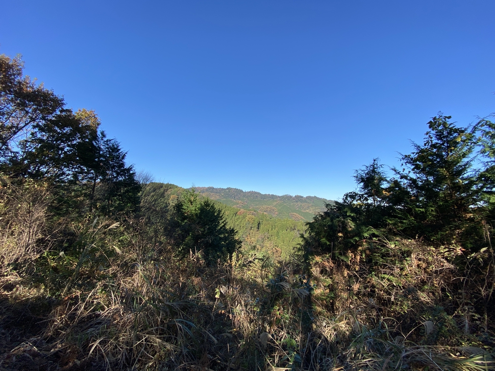 南高尾縦走トレランの写真7