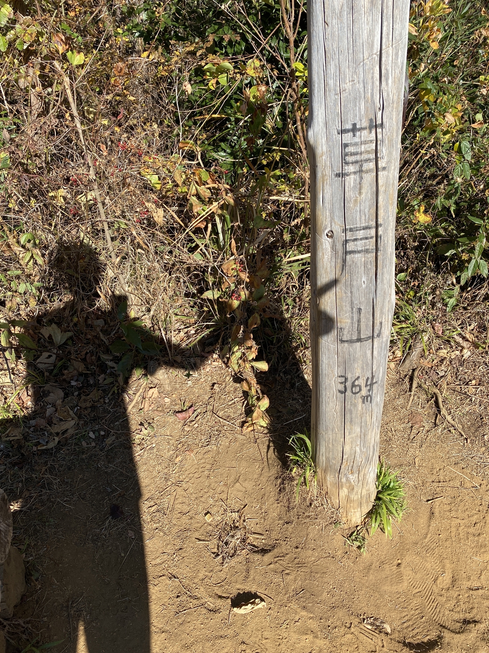 南高尾縦走トレランの写真8