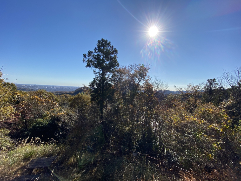 南高尾縦走トレランの写真9