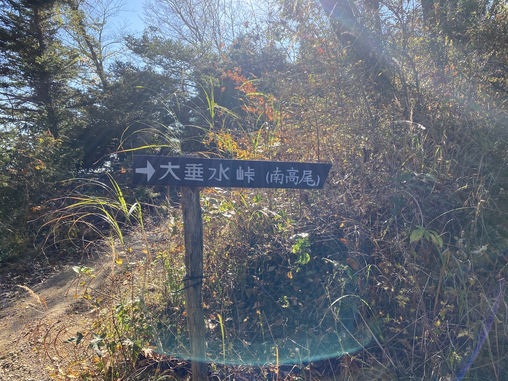 南高尾縦走トレランの写真12