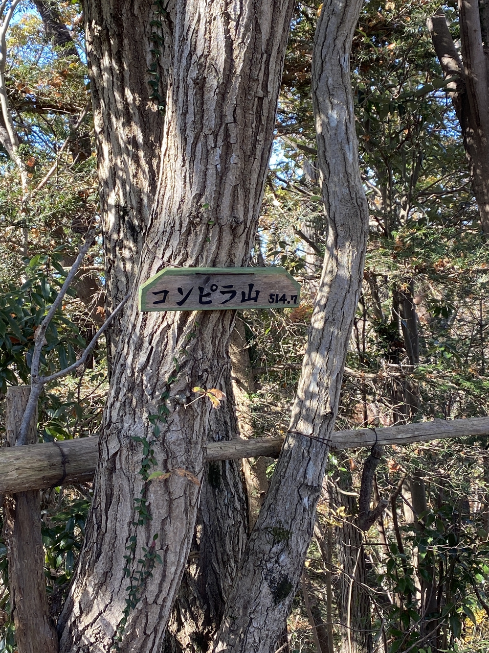 南高尾縦走トレランの写真16