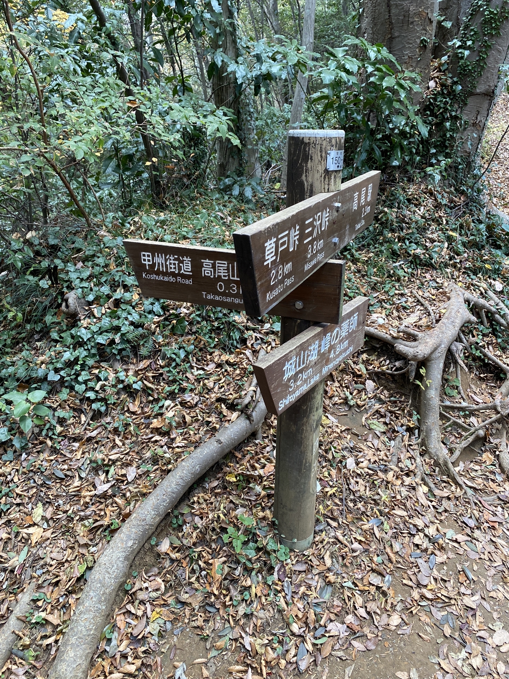 南高尾縦走トレランの写真17