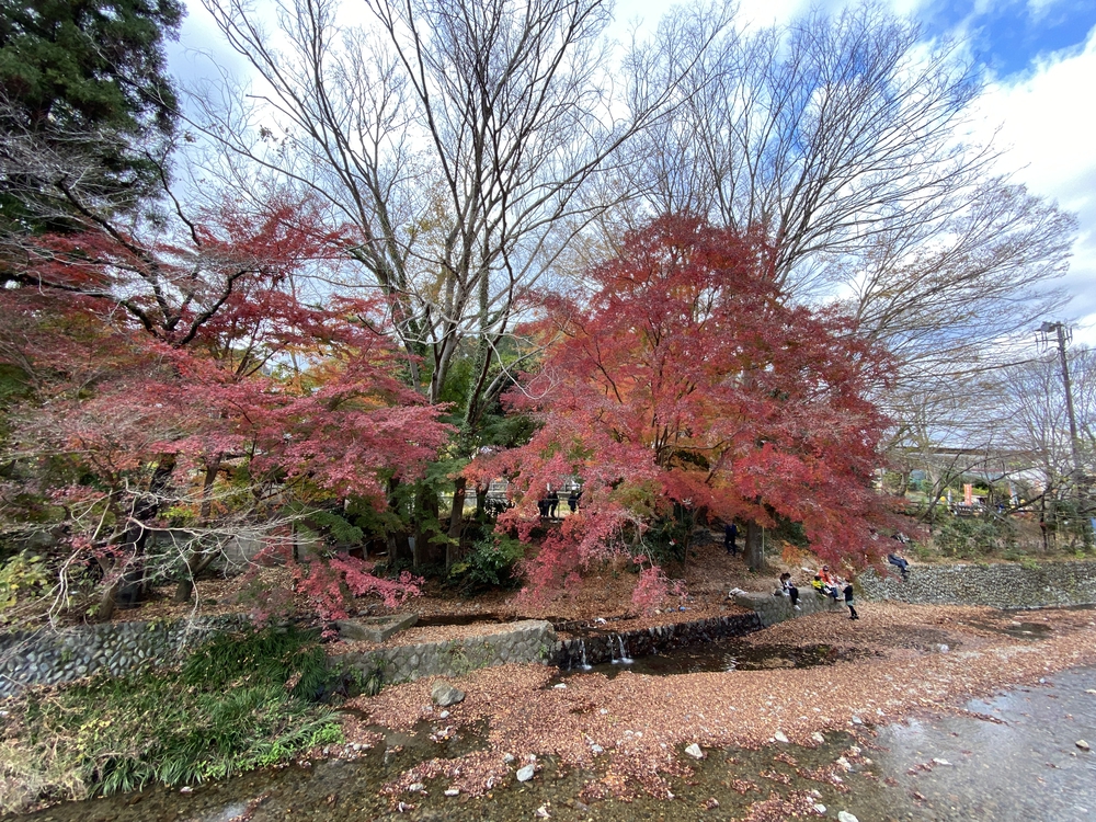 南高尾縦走トレランの写真19