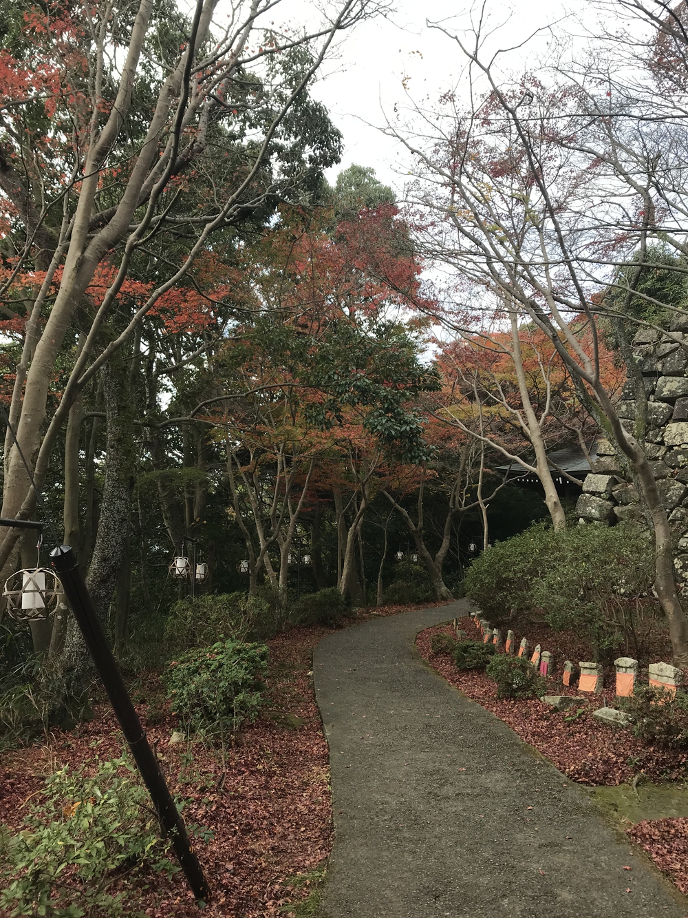 近江八幡城址からの琵琶湖絶景！の写真4