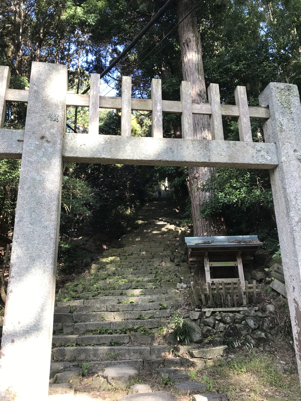近江八幡城址からの琵琶湖絶景！の写真8