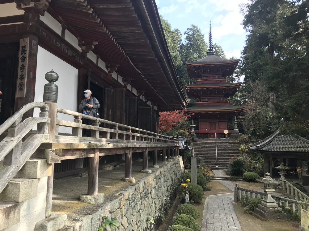 近江八幡城址からの琵琶湖絶景！の写真9