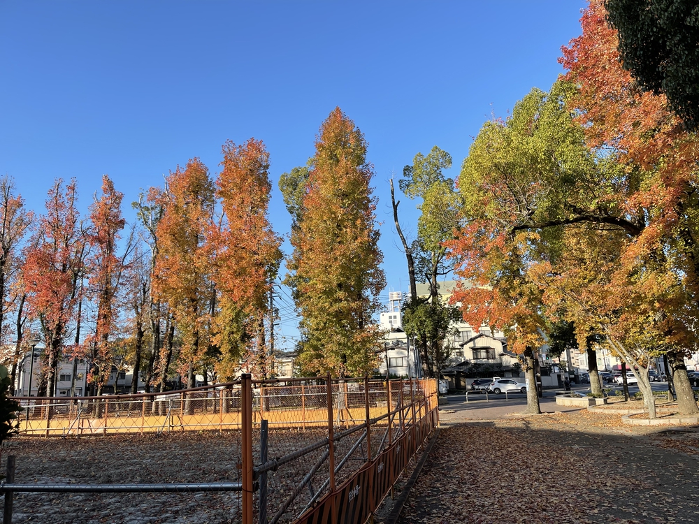 総合グラウンドのランナー像の写真8