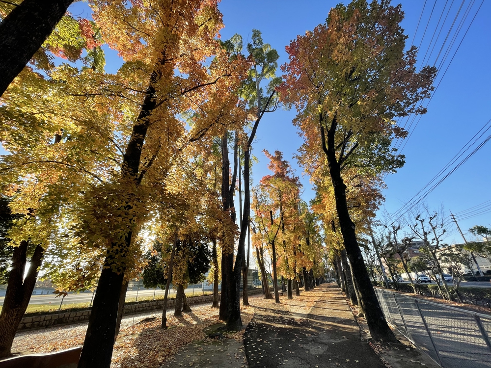 総合グラウンドのランナー像の写真9