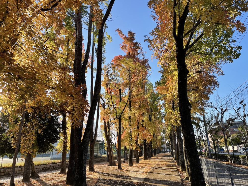 総合グラウンドのランナー像の写真10