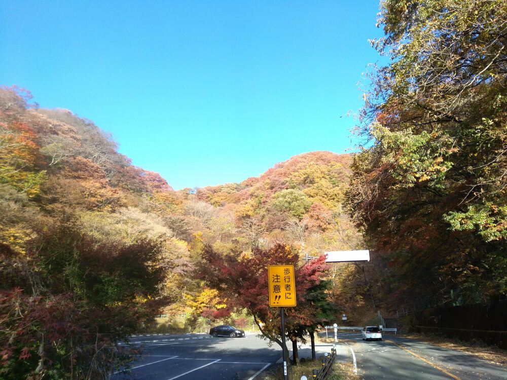 碓氷峠バーティカルランの写真6
