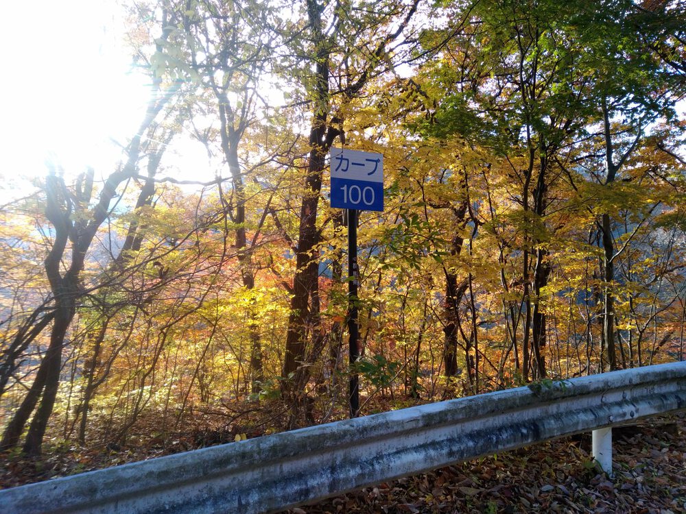 碓氷峠バーティカルランの写真9