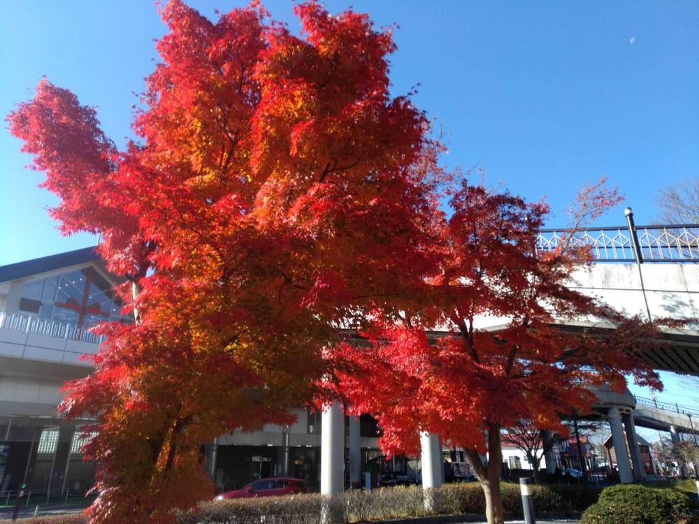 碓氷峠バーティカルランの写真12