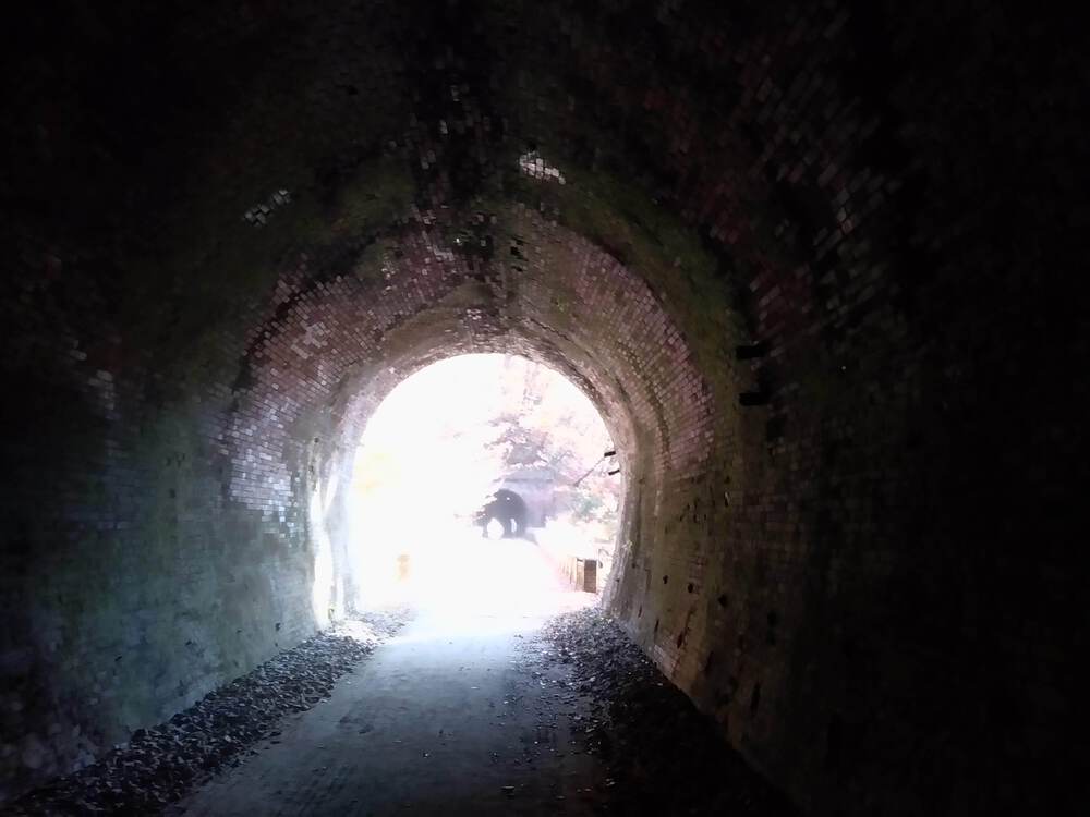 碓氷峠バーティカルランの写真15