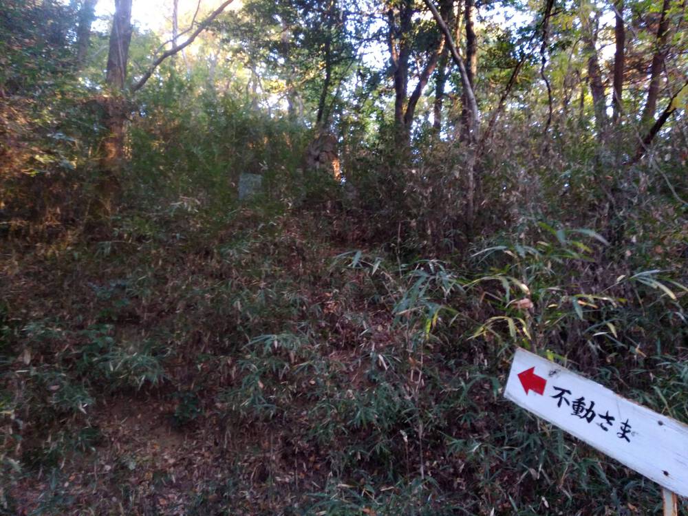 ミニ妙義のような神成山トレイルランニングの写真4