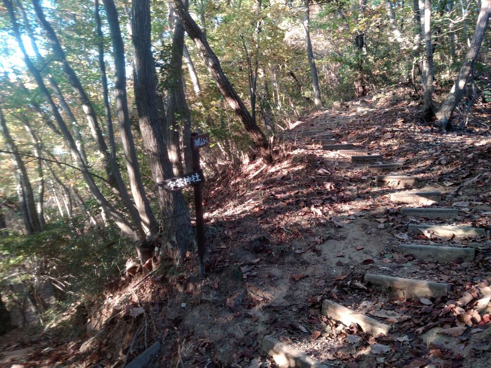 ミニ妙義のような神成山トレイルランニングの写真5