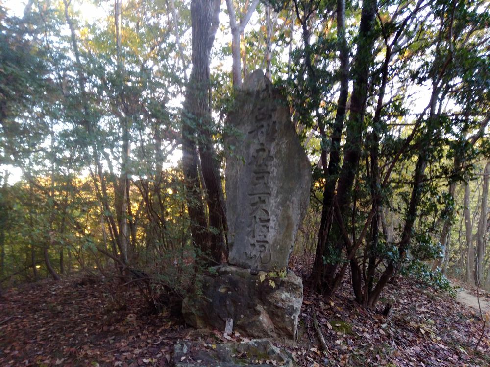 ミニ妙義のような神成山トレイルランニングの写真7