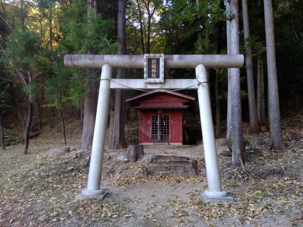 ミニ妙義のような神成山トレイルランニングの写真12